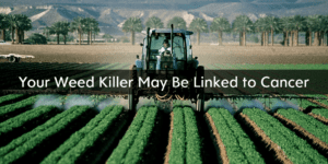 Your weed killer may be linked to cancer