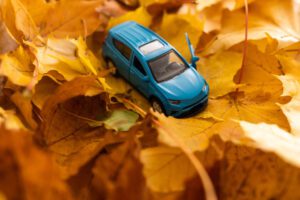 toy car in pile of yellow and orange Fall leaves