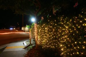 Christmas lights on shrubs at night on local Florida residential street.